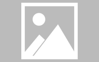醴陵孟津网站设计建设（孟津工程招标公示）