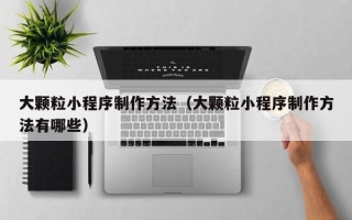 醴陵大颗粒小程序制作方法（大颗粒小程序制作方法有哪些）
